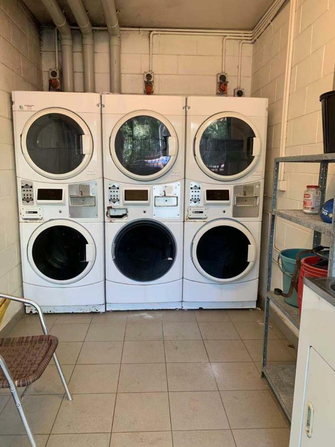 بيت شباب فروجشالو باكباكرز داروين المظهر الخارجي الصورة